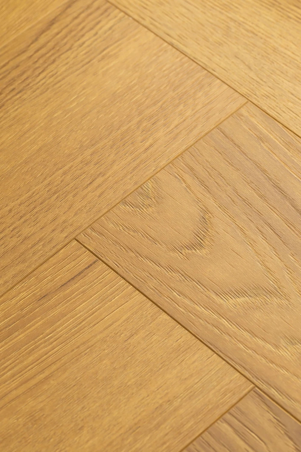 Дуб Апертус | Apertus oak 1F344