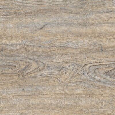 Cork Oak Leached