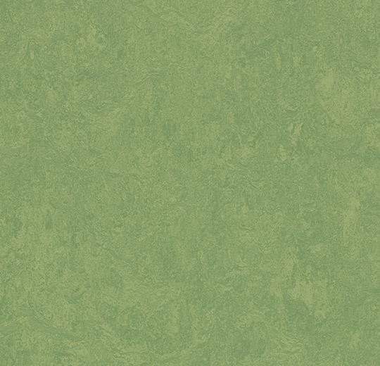 326035 leaf