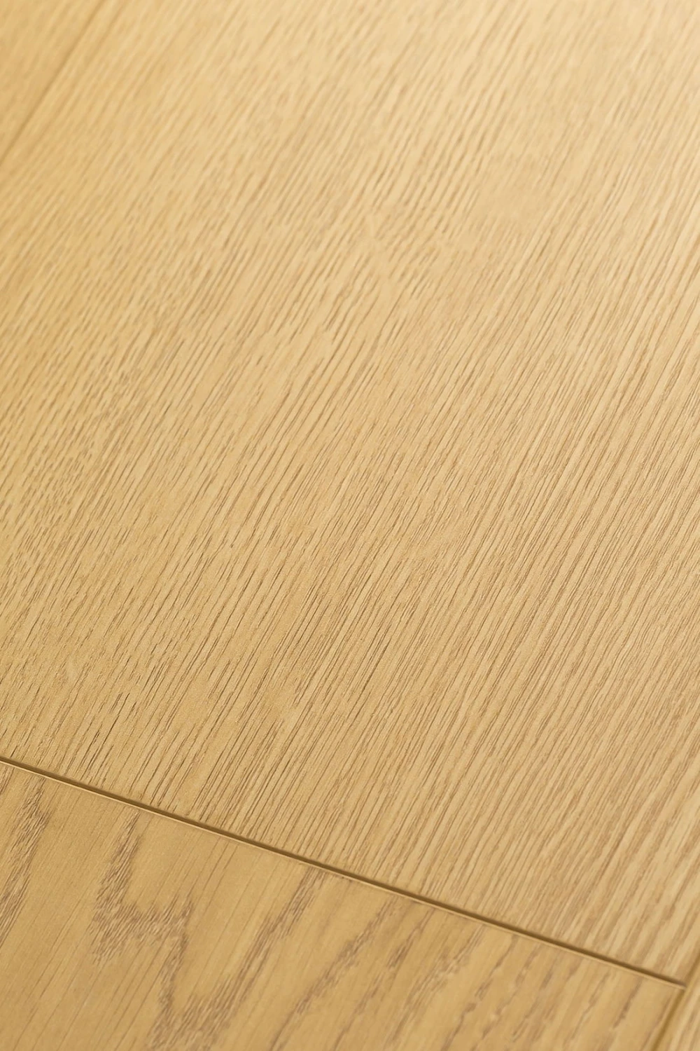 Дуб Пактум | Pactum oak 1F320