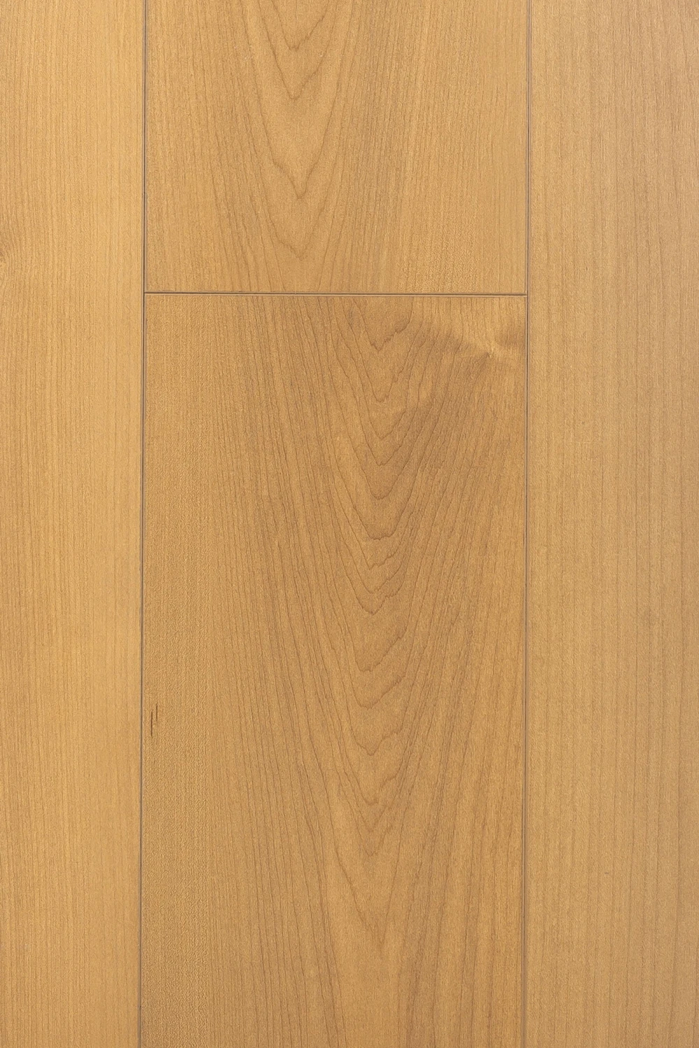 Дуб Ривьера | Rivera oak 1F407