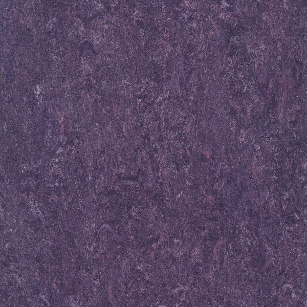 121-128 violet