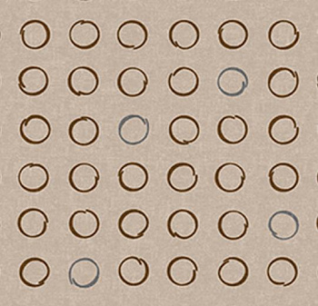 530035 Spin Biscotti