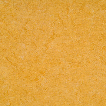 121-072 golden yellow